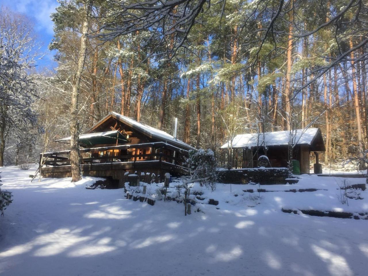 Cosy Chalet With Private Sauna In Bousseviller Exterior photo